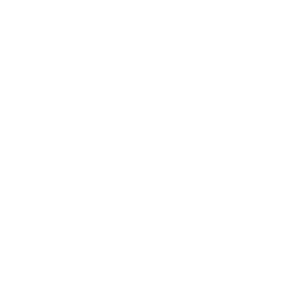 logo asset 7